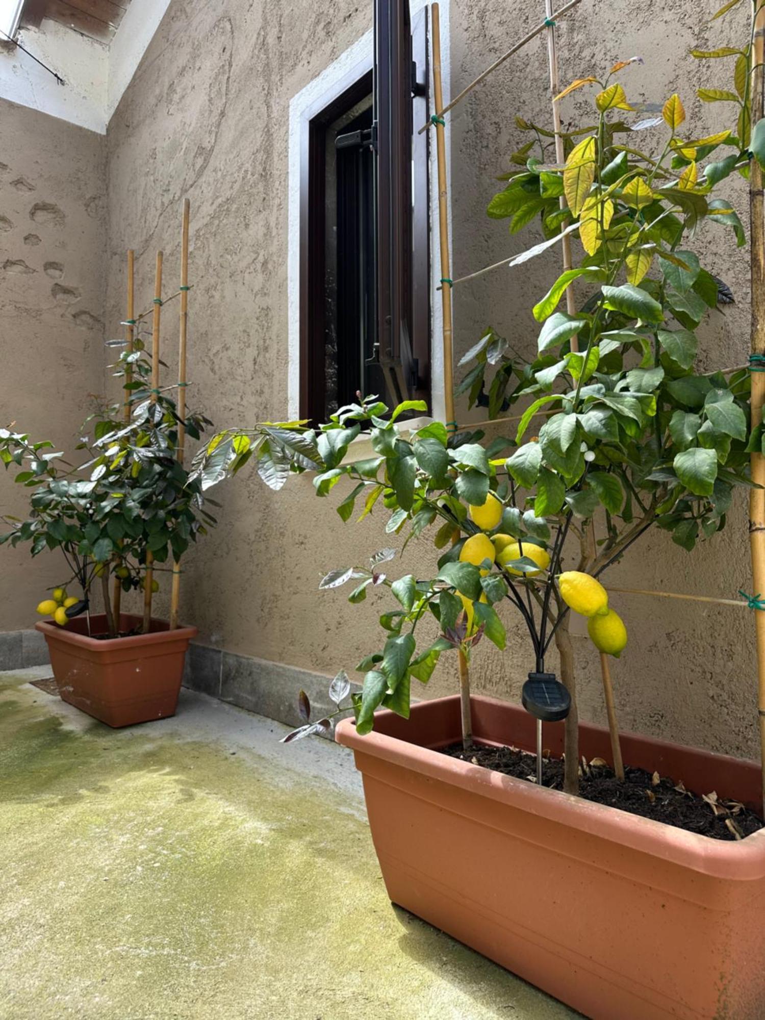 B&B La Corte Puegnago sul Garda Exterior foto